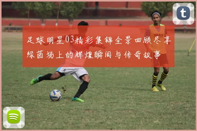 足球明星03精彩集锦全景回顾尽享绿茵场上的辉煌瞬间与传奇故事